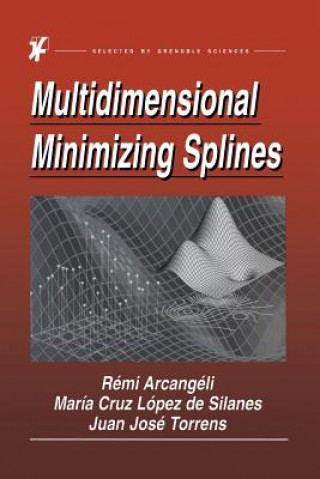 Knjiga Multidimensional Minimizing Splines R. Arcangéli