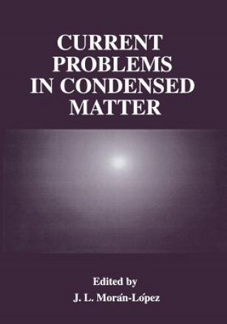 Könyv Current Problems in Condensed Matter J.L. Morán-López