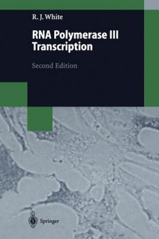 Книга RNA Polymerase III Transcription Robert J. White