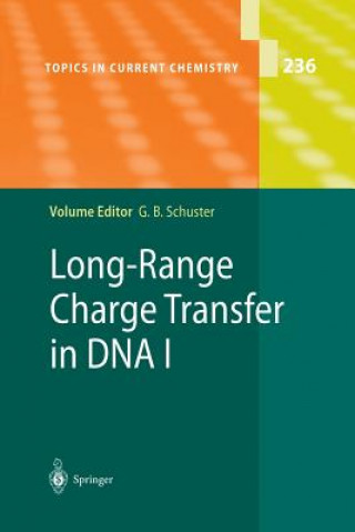 Könyv Long-Range Charge Transfer in DNA I Gary B. Schuster