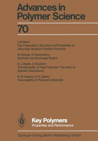 Βιβλίο Key Polymers R.M. Aseeva