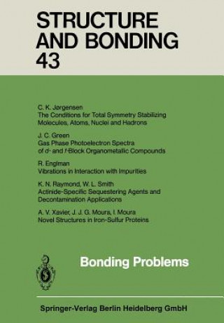 Knjiga Bonding Problems Xuan Duan