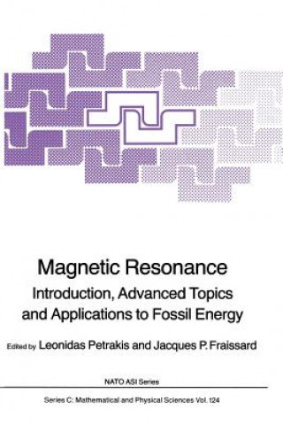 Kniha Magnetic Resonance Leonidas Petrakis