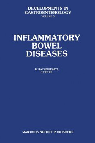 Könyv Inflammatory Bowel Diseases D. Rachmilewitz