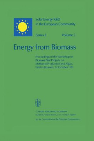 Boek Energy from Biomass Willeke Palz