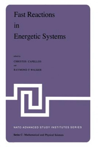 Книга Fast Reactions in Energetic Systems Christos Capellos