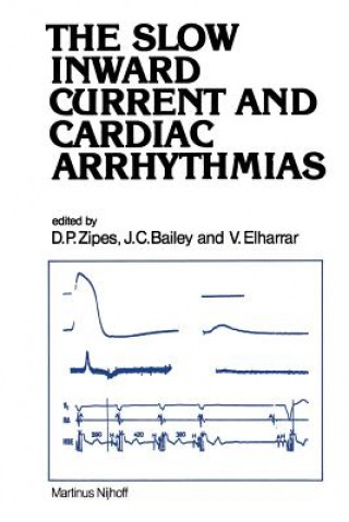 Kniha Slow Inward Current and Cardiac Arrhythmias Douglas P. Zipes