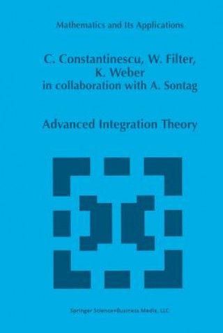Kniha Advanced Integration Theory Corneliu Constantinescu