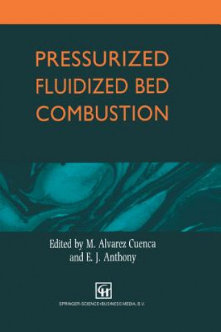 Book Pressurized Fluidized Bed Combustion M. Alvarez Cuenca