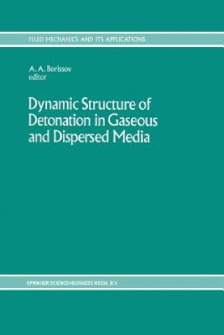 Kniha Dynamic Structure of Detonation in Gaseous and Dispersed Media A.A. Borissov