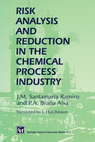 Βιβλίο Risk Analysis and Reduction in the Chemical Process Industry J.M. Santamaría Ramiro