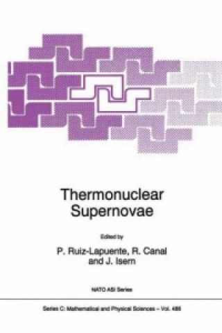 Könyv Thermonuclear Supernovae P. Ruiz-Lapuente