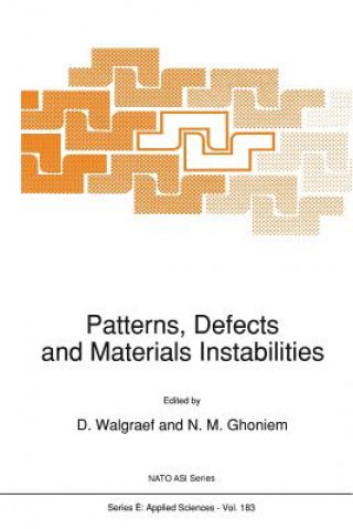 Book Patterns, Defects and Materials Instabilities D. Walgraef