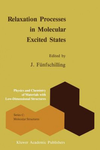 Книга Relaxation Processes in Molecular Excited States J. Fünfschilling