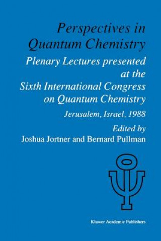 Könyv Perspectives in Quantum Chemistry Joshua Jortner