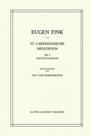 Carte VI. Cartesianische Meditation S. Fink