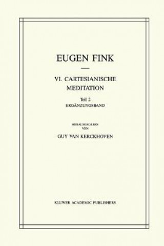 Βιβλίο VI. Cartesianische Meditation S. Fink