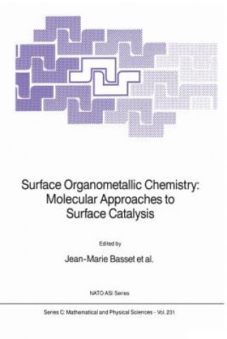 Kniha Surface Organometallic Chemistry: Molecular Approaches to Surface Catalysis Jean-Marie Basset