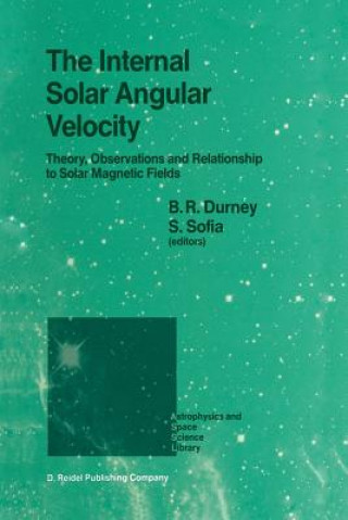 Könyv The Internal Solar Angular Velocity B.R. Durney