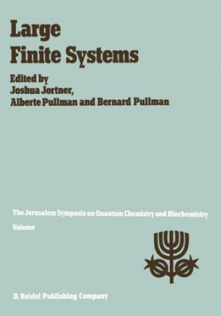 Book Large Finite Systems Joshua Jortner