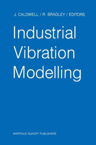 Könyv Industrial Vibration Modelling J. Caldwell