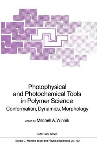 Kniha Photophysical and Photochemical Tools in Polymer Science Mitchell A. Winnik