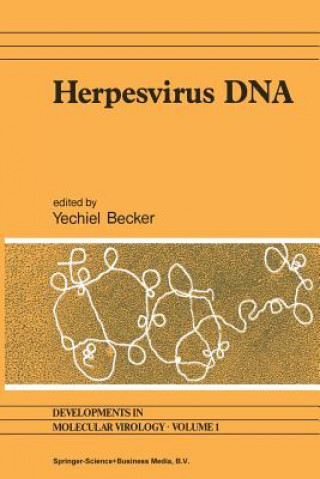 Książka Herpesvirus DNA Yechiel Becker