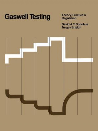 Könyv Gaswell Testing David A.T. Donohue