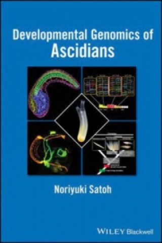 Kniha Developmental Genomics of Ascidians Noriyuki Satoh