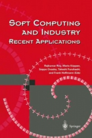 Boek Soft Computing and Industry Rajkumar Roy