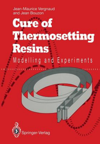 Knjiga Cure of Thermosetting Resins Jean-Maurice Vergnaud