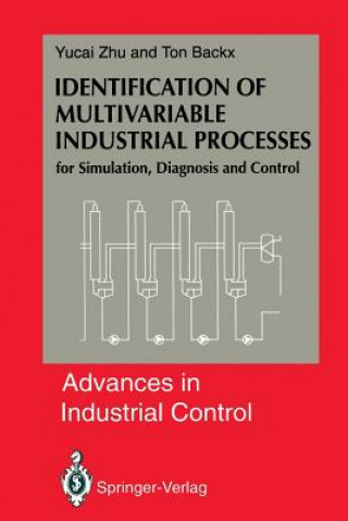 Book Identification of Multivariable Industrial Processes Yucai Zhu