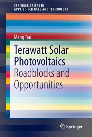 Kniha Terawatt Solar Photovoltaics Meng Tao