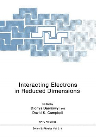 Kniha Interacting Electrons in Reduced Dimensions Dionys Baeriswyl