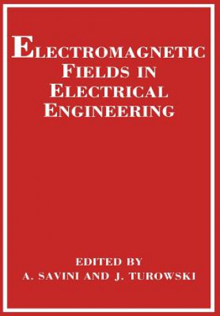 Kniha Electromagnetic Fields in Electrical Engineering A. Savini