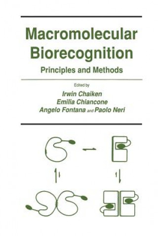 Könyv Macromolecular Biorecognition Irwin Chaiken