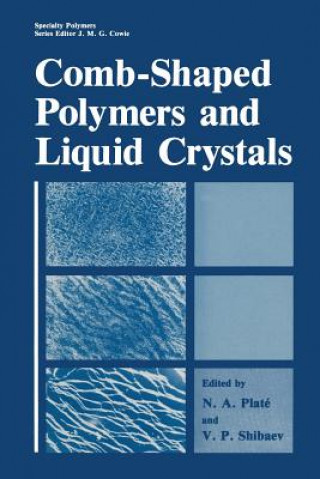 Kniha Comb-Shaped Polymers and Liquid Crystals N.A. Platé
