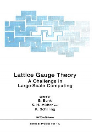 Carte Lattice Gauge Theory B. Bunk