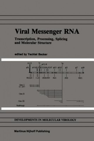 Könyv Viral Messenger RNA Yechiel Becker