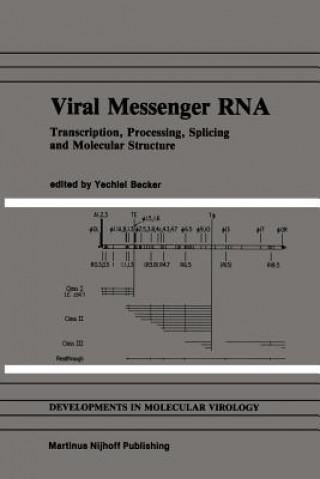 Kniha Viral Messenger RNA Yechiel Becker