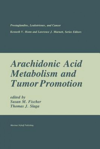 Könyv Arachidonic Acid Metabolism and Tumor Promotion Susan M. Fischer