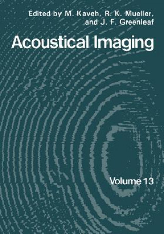 Carte Acoustical Imaging M. Kaveh