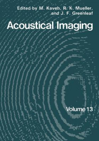 Buch Acoustical Imaging M. Kaveh