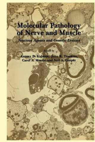 Könyv Molecular Pathology of Nerve and Muscle Antony D. Kidman