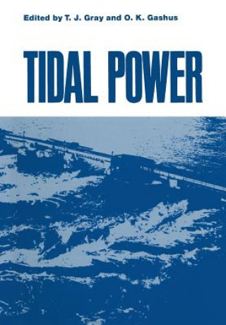 Kniha Tidal Power T. Gray
