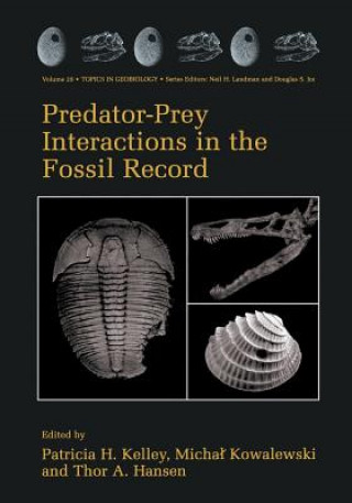 Könyv Predator-Prey Interactions in the Fossil Record Patricia H. Kelley