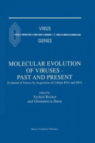 Kniha Molecular Evolution of Viruses - Past and Present Yechiel Becker