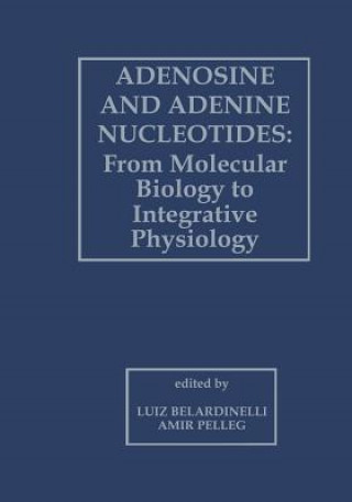 Książka Adenosine and Adenine Nucleotides: From Molecular Biology to Integrative Physiology Luiz Belardinelli