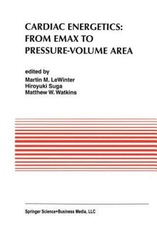 Könyv Cardiac Energetics: From Emax to Pressure-Volume Area Martin M. LeWinter