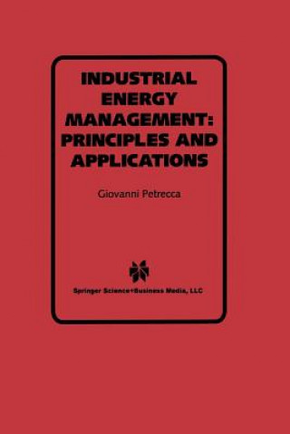 Knjiga Industrial Energy Management: Principles and Applications Giovanni Petrecca